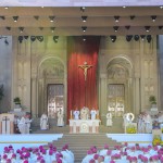 Pope Francis celebrating Mass