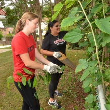 CUA students, faculty, staff, and alumni participated in “Serve with Francis Day” on Sunday, Sept. 13