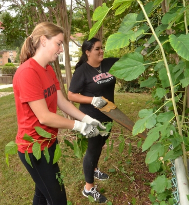 CUA students, faculty, staff, and alumni participated in “Serve with Francis Day” on Sunday, Sept. 13