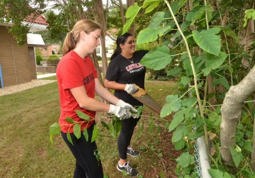 CUA students, faculty, staff, and alumni participated in “Serve with Francis Day” on Sunday, Sept. 13