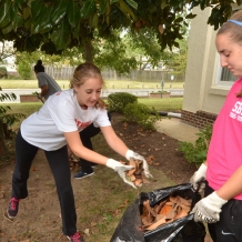 CUA students, faculty, staff, and alumni participated in “Serve with Francis Day” on Sunday, Sept. 13