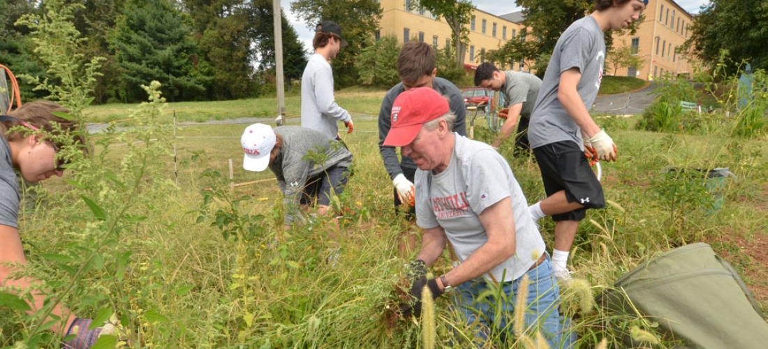 CUA students, faculty, staff, and alumni participated in “Serve with Francis Day” on Sunday, Sept. 13