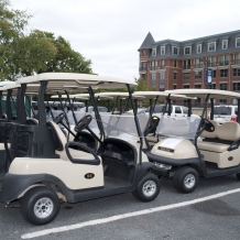 Golf Carts Lining Up